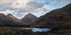 Scottish Highland