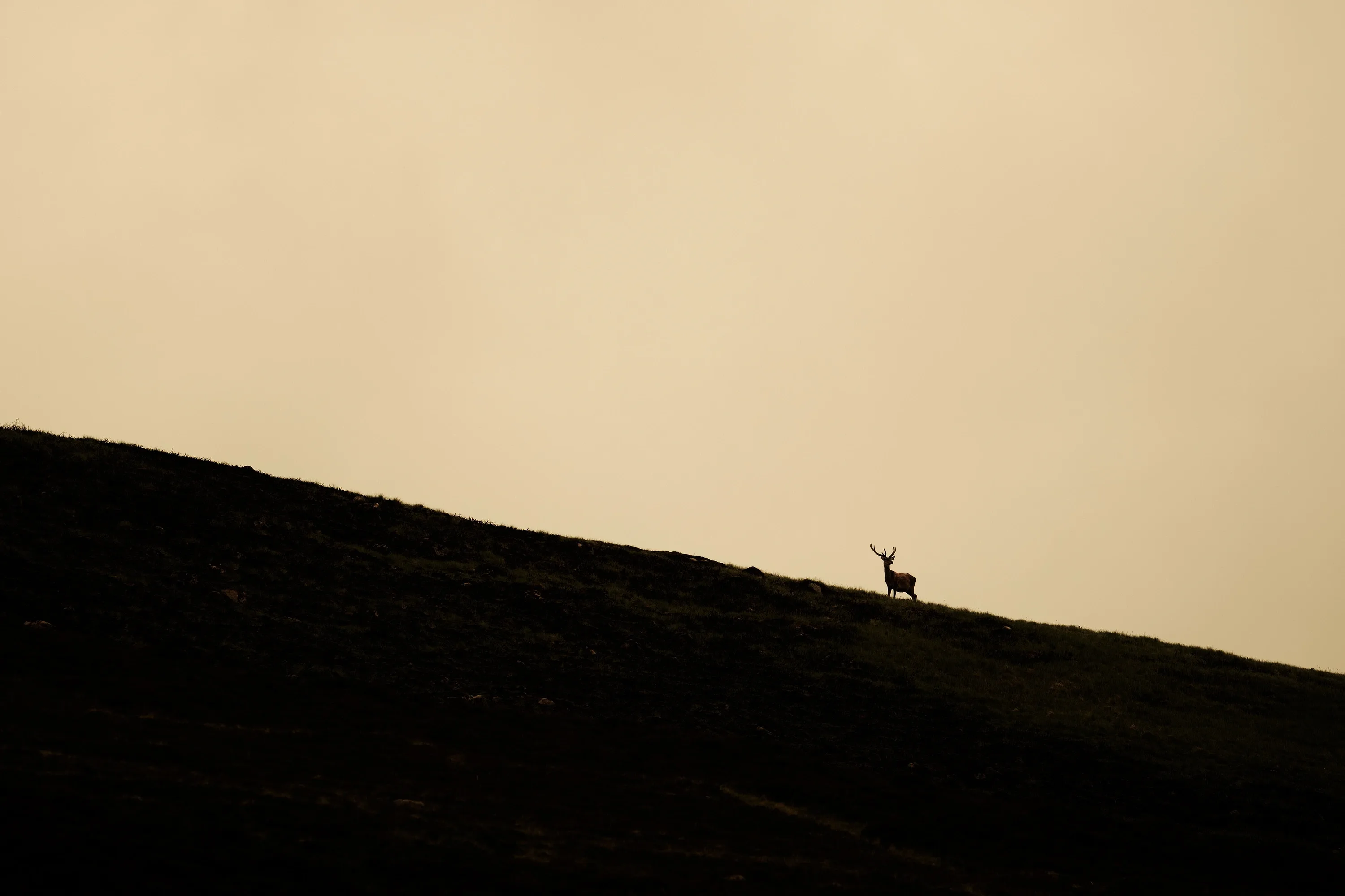 Background 2